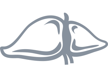 SOLUCIONES QUE TE ACOMPAÑAN SIEMPR