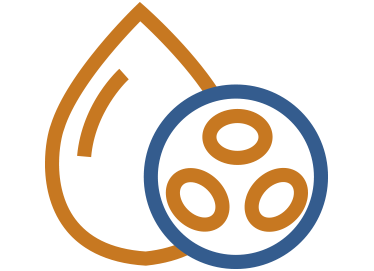 OPCIONES SALUDABLES PARA TU MEJOR VERSIÓN